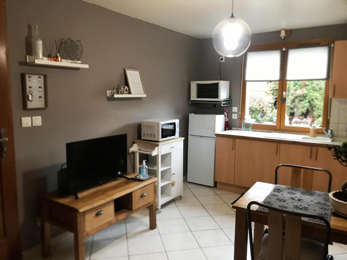 Charmant Appartement 2-4 Personnes Entre Annecy Et Aravis Thônes Exterior foto
